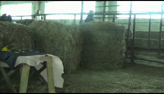 O primeiro vídeo de uma foda dura de uma menina Masha com um cavalo selvagem. Jardim zoológico de cavalo TeamRussia