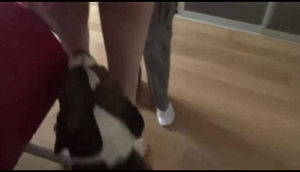 Köpek Jack ile Anal hayvanat bahçesi seks Rus kız. Hayvanat bahçesi takımı Rusya