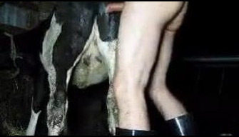 Hombre se folla a la vaca, el zoológico de porno en la granja