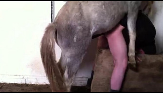 Horse fucks a zoophile in the ass, anal porn of a man and an animal