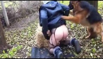 Chien baise maîtresse dans la cour, polonais zoo porno avec berger