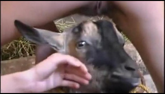 Girls fucked a goat at their grandfathers farm, zooporno